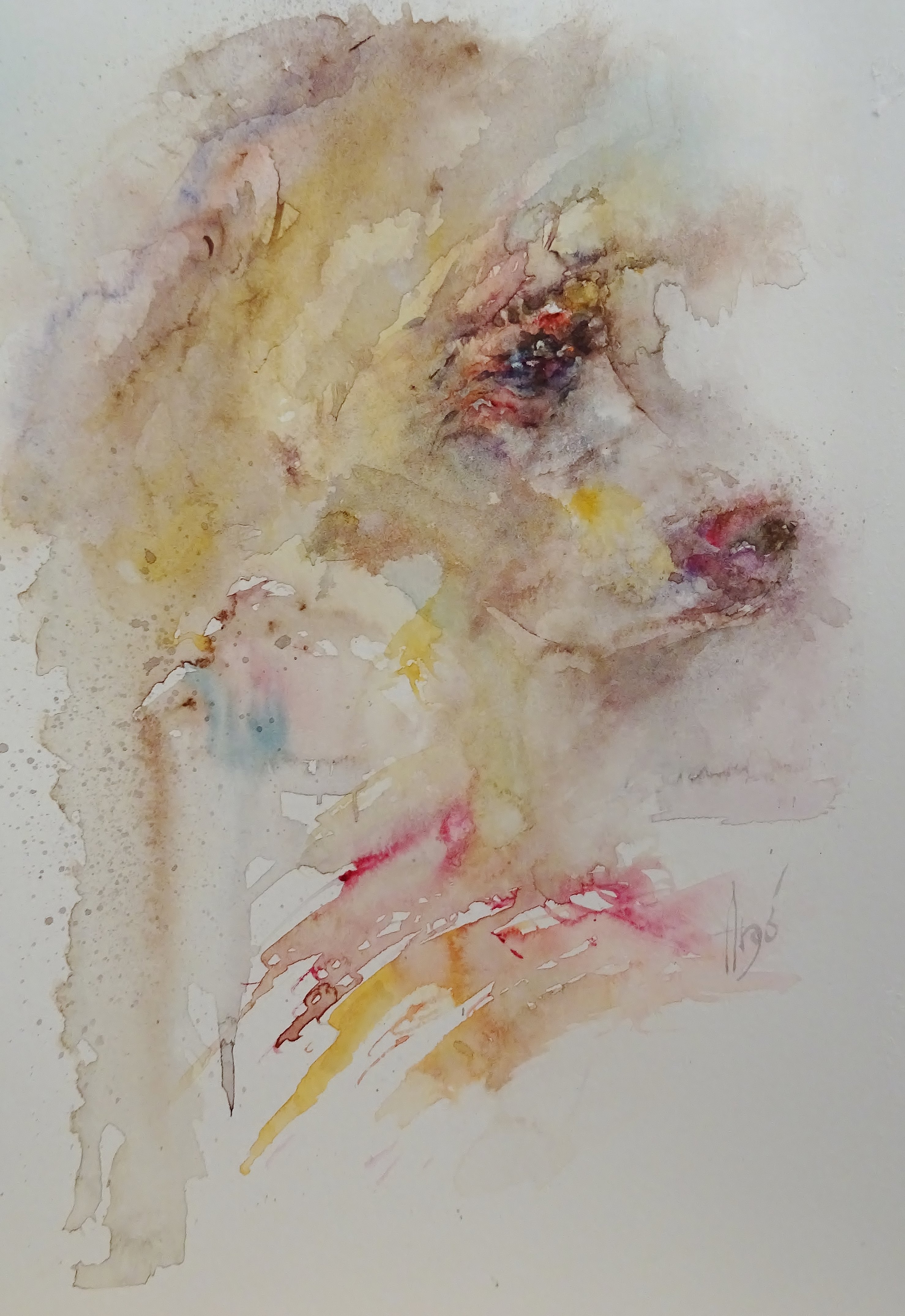 Hund im Profil / Aquarell / 17 x 24