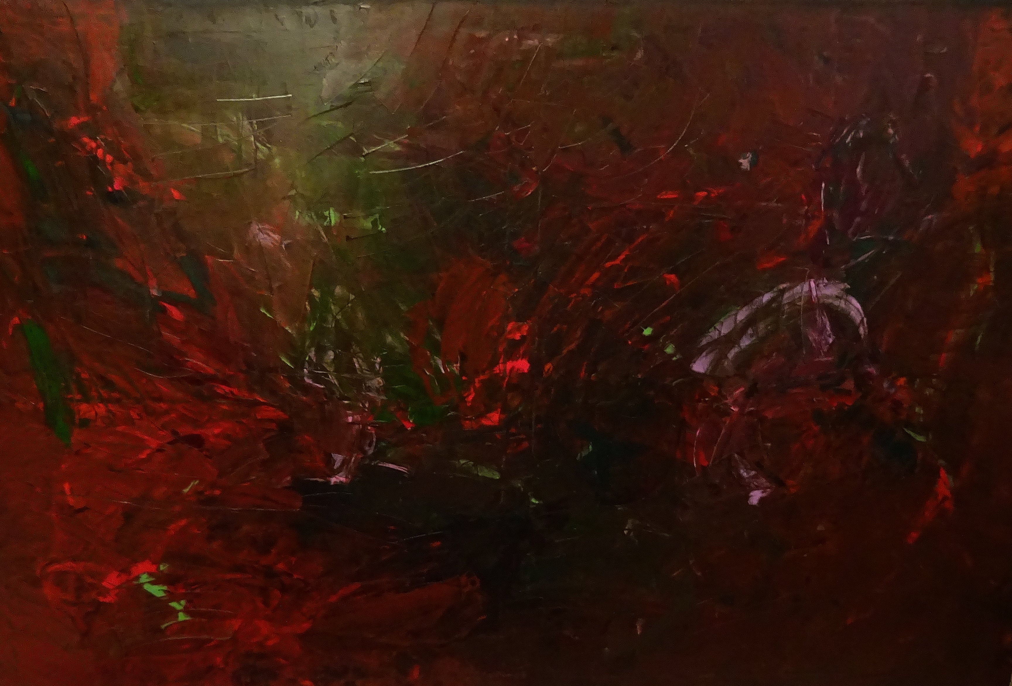Blumen Toskana / Öl/Leinwand / 150x100