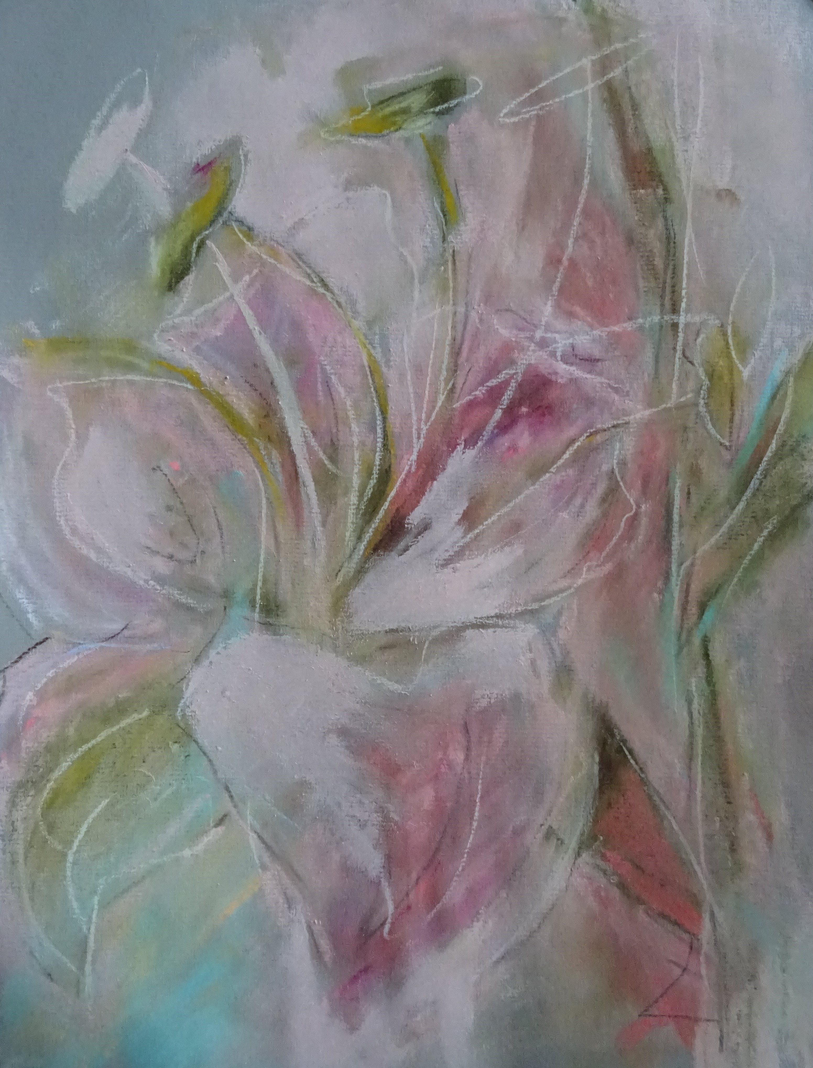 Pink Lily / Pastellkreide / 24x32 / - verkauft -