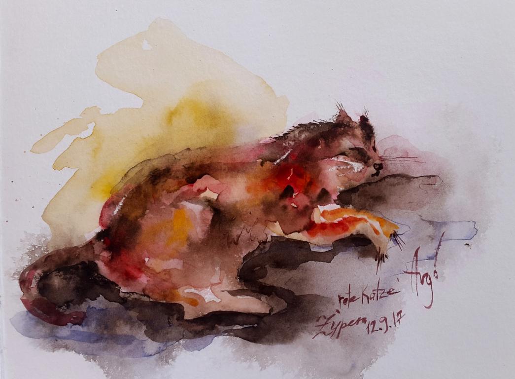 Rote Katze / Aquarell / 14,5 x 10,5