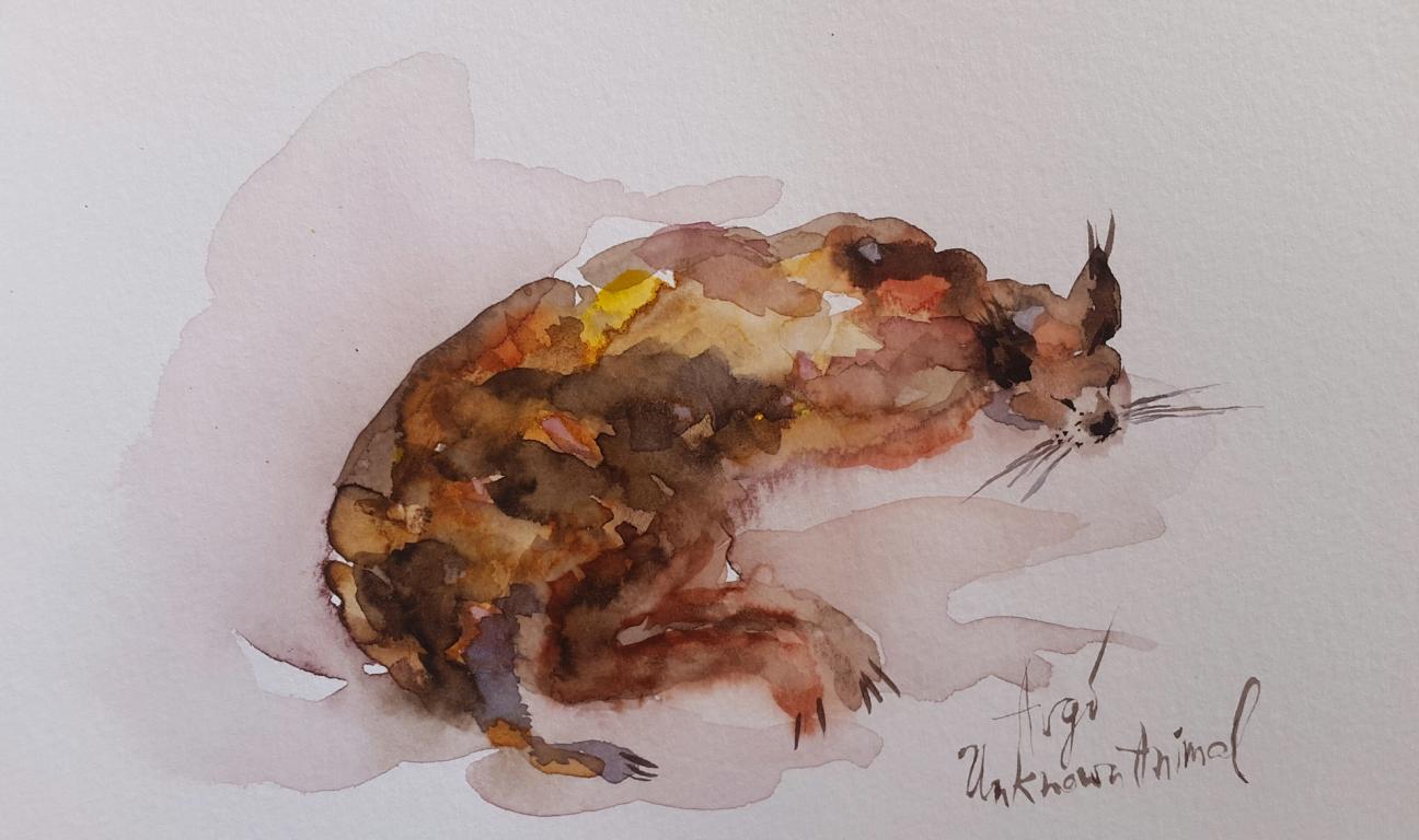 Das unbekannte Tier / Aquarell / 14,5 x 10,5