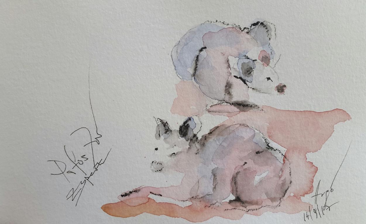 Skizzen / Pafos Bird and Animal Park / Aquarell / 14,5 x 10,5