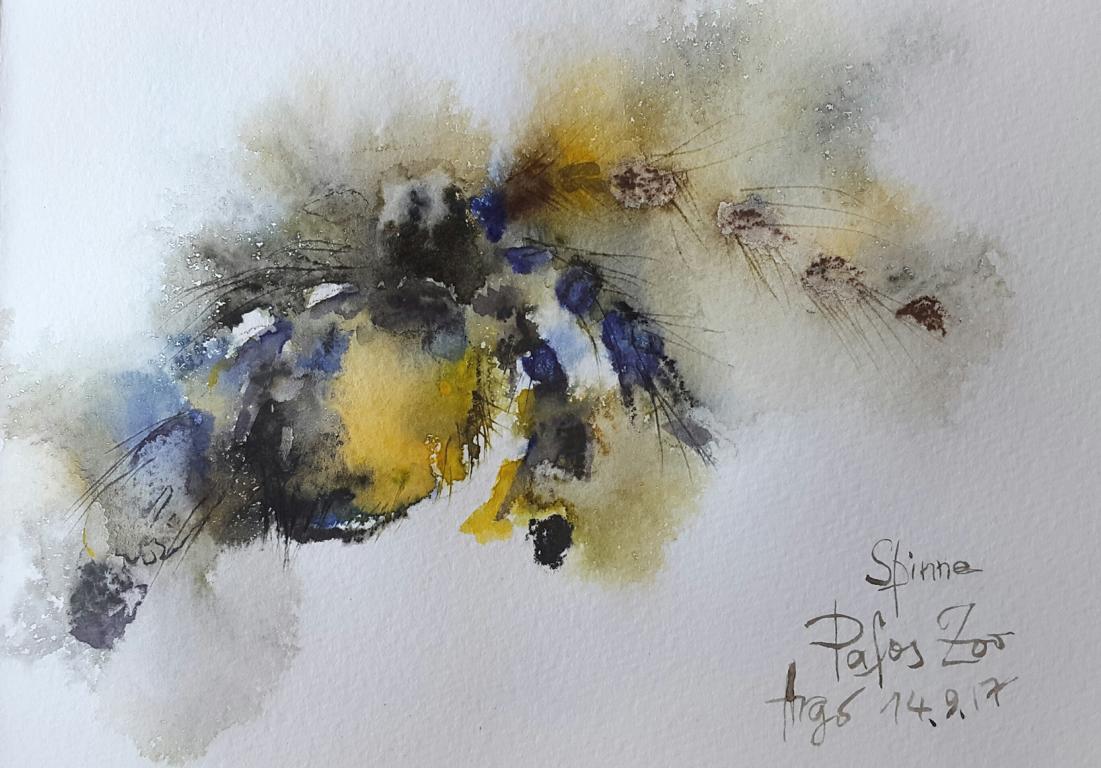 Skizzen / Pafos Bird and Animal Park / Aquarell / 14,5 x 10,5