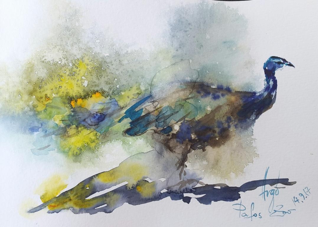 Skizzen / Pafos Bird and Animal Park / Aquarell / 14,5 x 10,5