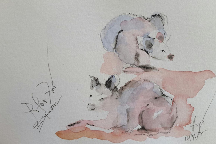 Skizzen / Pafos Bird and Animal Park / Aquarell / 14,5 x 10,5