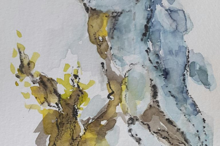 Skizzen / Pafos Bird and Animal Park / Aquarell / 10,5 x 14,5