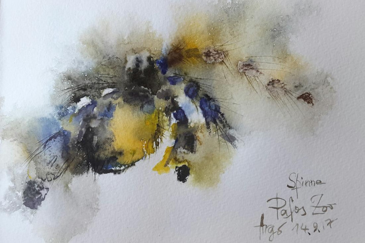 Skizzen / Pafos Bird and Animal Park / Aquarell / 14,5 x 10,5