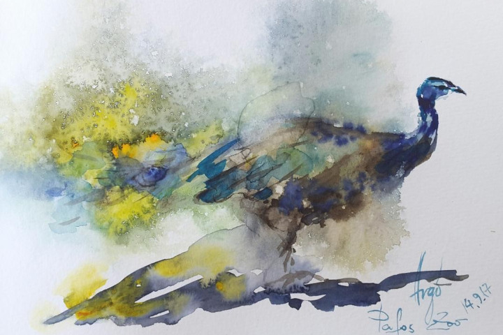 Skizzen / Pafos Bird and Animal Park / Aquarell / 14,5 x 10,5